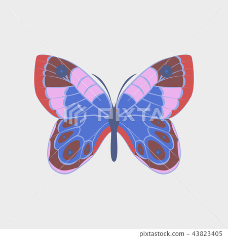 Colorful icon of butterfly isolated on white Colorful icon of butterfly isolated on white 43823405