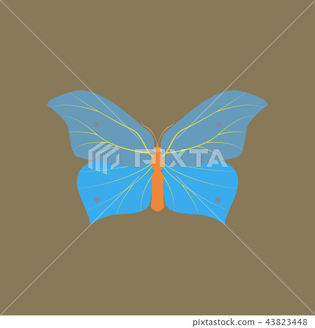 Colorful icon of butterfly isolated on brown Colorful icon of butterfly isolated on brown 43823448