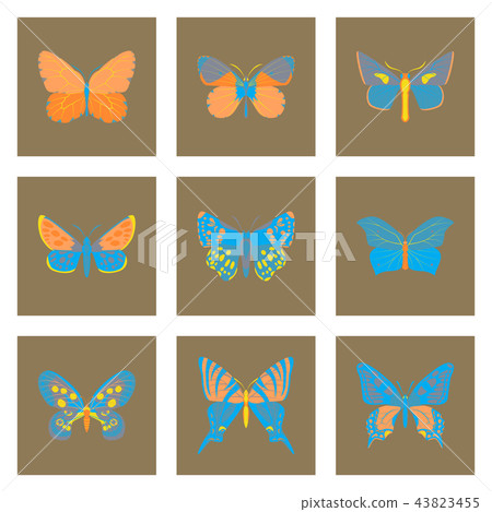 Flat icons big collection of colorful butterflies Flat icons big collection of colorful butterflies 43823455