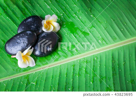 Spa treatments, burning candles in spa wellness, Spa treatments, burning candles in spa wellness, 43823695