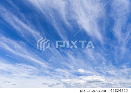 Autumn _ dynamic cirrus Autumn _ dynamic cirrus 43824233