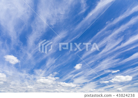 Autumn _ dynamic cirrus Autumn _ dynamic cirrus 43824238