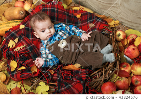autumn concept - child boy lie on yellow leaves autumn concept - child boy lie on yellow leaves 43824576