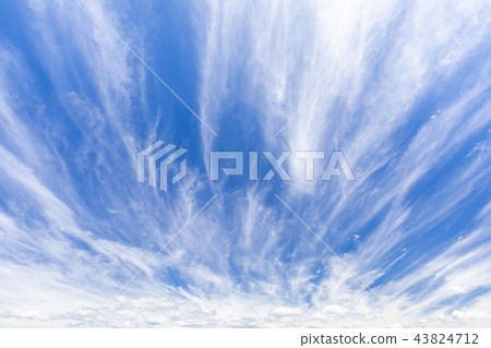 Autumn _ dynamic cirrus Autumn _ dynamic cirrus 43824712