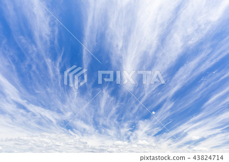 Autumn _ dynamic cirrus Autumn _ dynamic cirrus 43824714