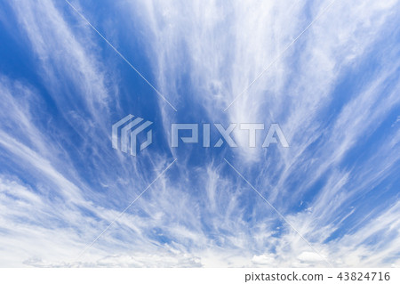 Autumn _ dynamic cirrus Autumn _ dynamic cirrus 43824716