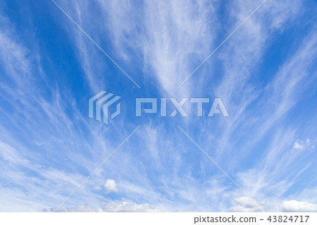 Autumn _ dynamic cirrus 43824717