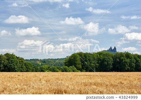 Ruin of medieval gothic castle Trosky Ruin of medieval gothic castle Trosky 43824999