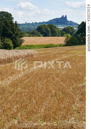 Ruin of medieval gothic castle Trosky 43825014