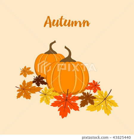 autumn composition with pumpkins autumn composition with pumpkins 43825440