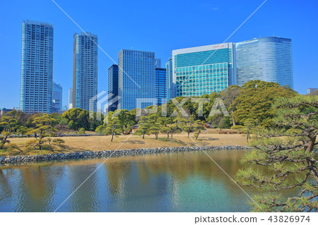 Hama Rikyu皇家花園和汐留高層建築 Hama Rikyu皇家花園和汐留高層建築 43826974