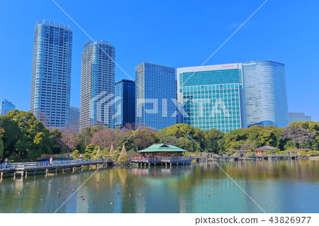 Hama Rikyu皇家花園和汐留高層建築 Hama Rikyu皇家花園和汐留高層建築 43826977
