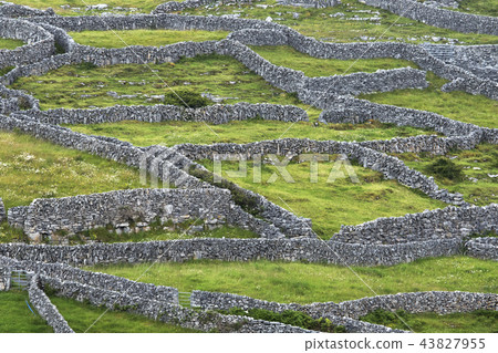 大農場的愛爾蘭石牆大農場典型的愛爾蘭石牆 43827955