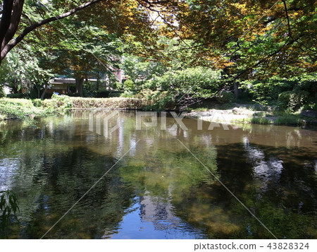 Shimizuya Park Shimizuya Park 43828324