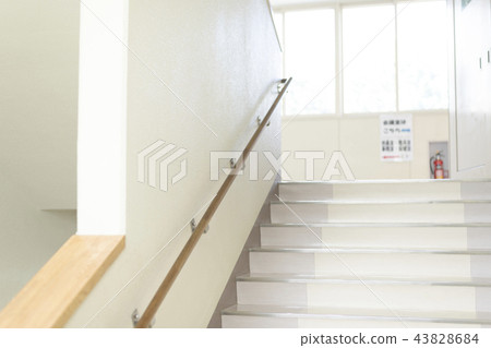 School image (stair) 43828684