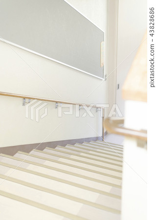 School image (stair) School image (stair) 43828686
