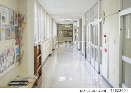 School image (corridor) 43828694