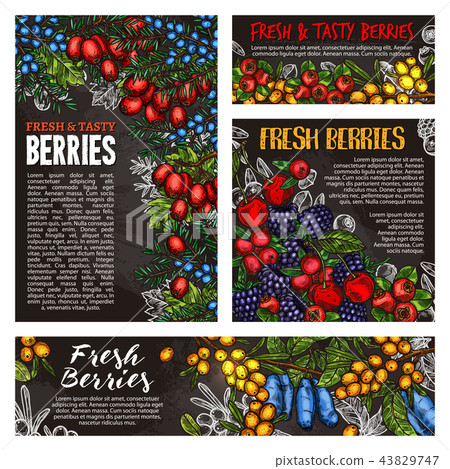 Wild forest and farm berry fruits 43829747