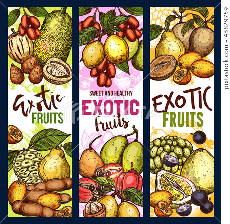 Exotic fruit and berry sweet food 43829759