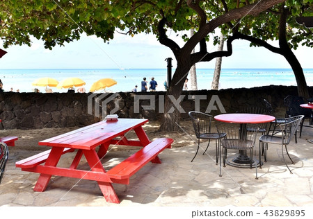 Holidays in Hawaii 43829895