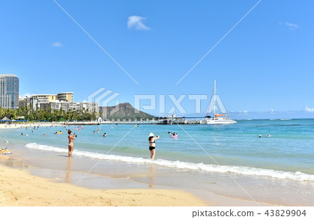 夏威夷的假期 夏威夷的假期 43829904