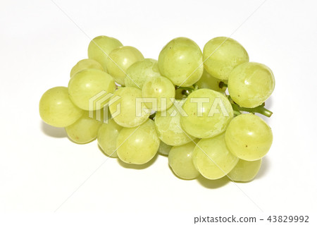 葡萄（羅薩里奧比安科） 43829992