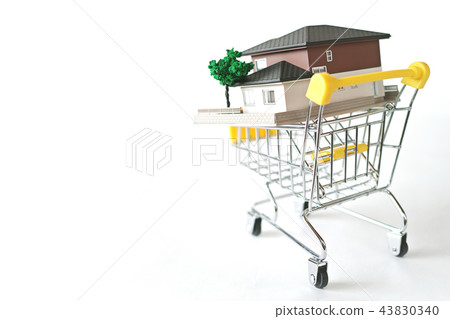 House placed on a miniature shopping cart 43830340