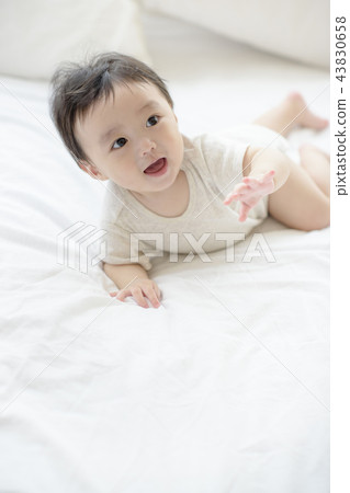 Three authorized families 43830658