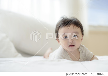 Three authorized families Three authorized families 43830660