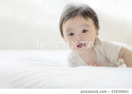 Three authorized families 43830661