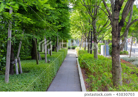 東京足立區的大道大道 東京足立區的大道大道 43830703