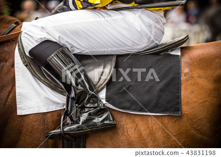 Race horse with jockey, close-up. Race horse with jockey, close-up. 43831198