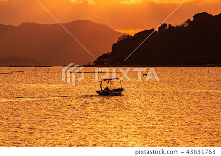 Morning fishing in the Seto Morning fishing in the Seto 43831763