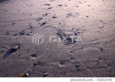 Tracks and footprints to miracle of boys 43832440