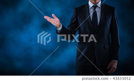 Senior businessman giving a presentation 43833052
