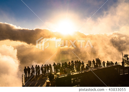 《Nagano Prefecture》Ryuo Mountain Park/Sea of clouds at sunset 43833055