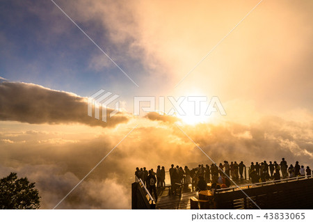 《Nagano Prefecture》Ryuo Mountain Park/Sea of clouds at sunset 43833065