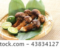 Matsutake 43834127