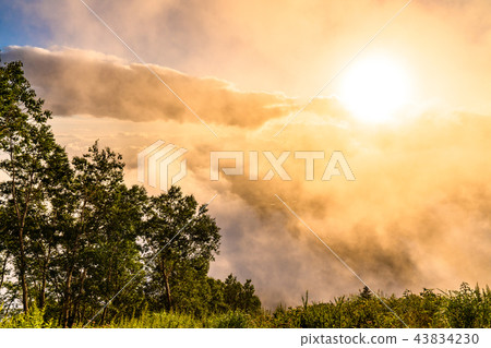 《Nagano Prefecture》Ryuo Mountain Park/Sea of clouds at sunset 《Nagano Prefecture》Ryuo Mountain Park/Sea of clouds at sunset 43834230