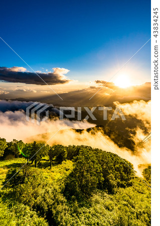 《Nagano Prefecture》Ryuo Mountain Park/Sea of clouds at sunset 43834245