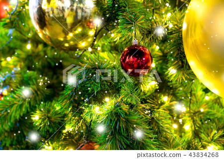 Closeup christmas tree and red ball hanging  43834268