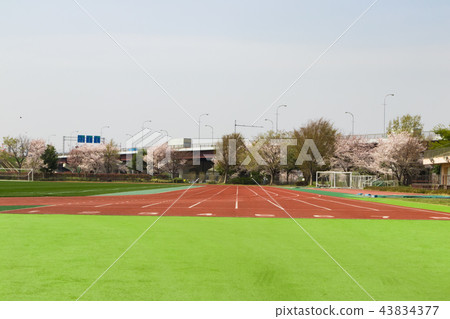 Athletics track track lawn soccer field 43834377