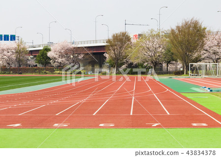 競技軌道軌道草坪足球場 43834378