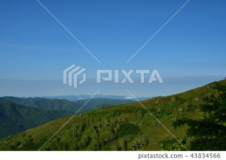 佔冠村 佔冠村 43834566