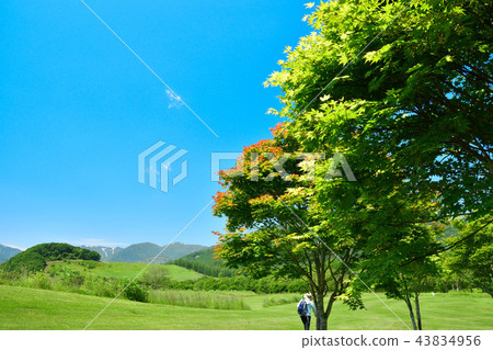 十胜千年森林 43834956