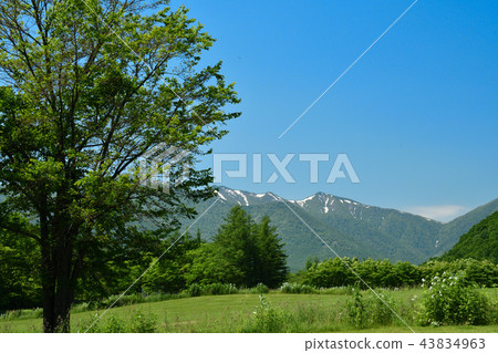 Tokachi Millennium Forest 43834963