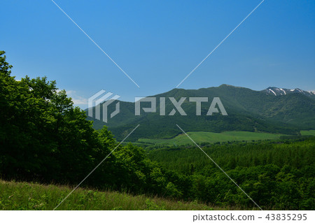 Tokachi Millennium Forest 43835295