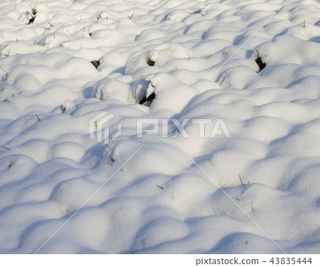 wavy snow surface 43835444
