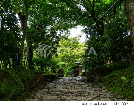 街到寺廟 街到寺廟 43835521