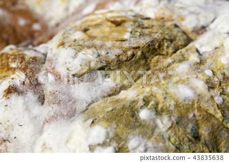 unhygienic bread loaf 43835638